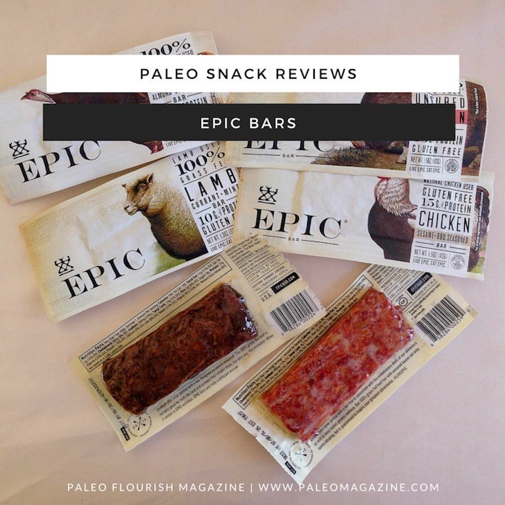 Epic EPIC Bars 100% Animal-Based Whole Protein, Sampler Assorted Variety Pack (10 Pack) In Sanisco Packaging 10 Count (Pack of 1)